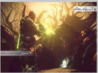 جاودانه: آنچیند