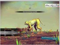 آسمان هیچکس