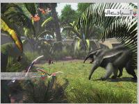 مدیریت باغ‌وحش: مجموعه نهایی حیوانات 