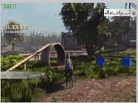 شبیه ساز بز