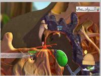 میدان جنگ کرم ها