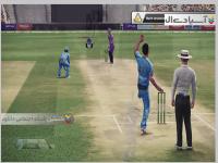 دان برادمن کریکت 14 