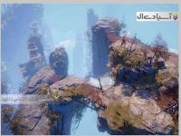 سایه‌ها: بیداری