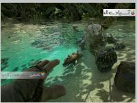 آرک : تکامل بقا