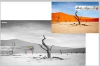 افکت سیاه وسفید مات جذاب در اکشن فتوشاپ