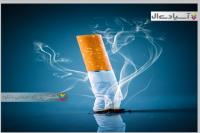 مجموعه وکتور تصاویر استعمال دخانیات ممنوع 