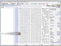 نرم افزار نمایش و ویرایش فایل ها به صورت هگزادسیمال