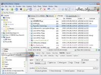نرم افزار ایکس وای پلورر